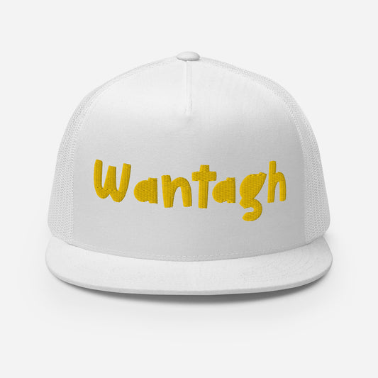 Wantagh Mesh Snapback | Multiple Color Options