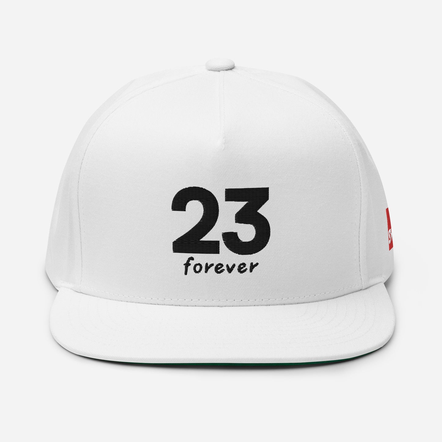 Jordan 23 forever Snapback | Multiple Color Options